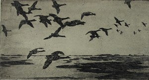 Image description is not available for DU1946.251